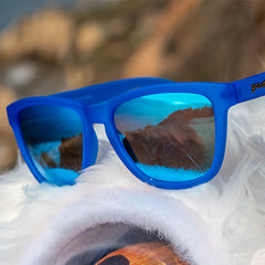 Falkor's Fever Dream